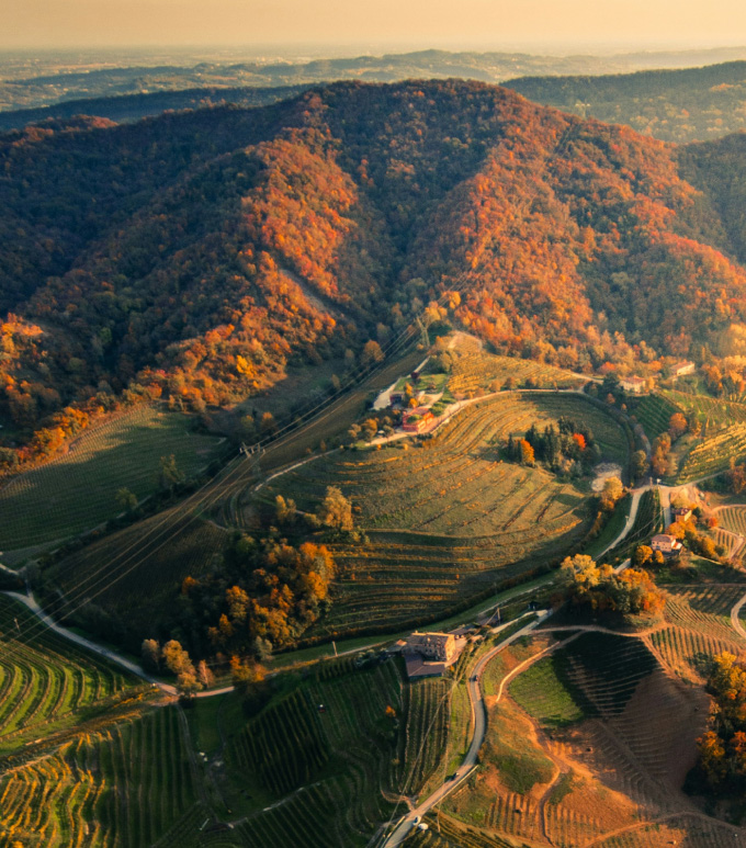 Birds eye view of a scene in Veneto with terraced and trellised vineyards and farms in the foreground with forested hills in the background