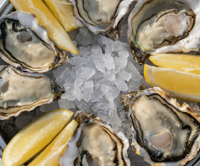 Close up of shucked oysters on ice
